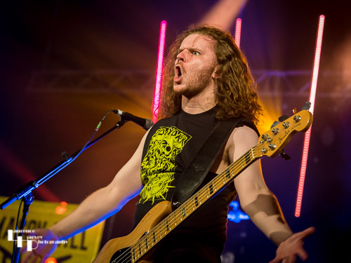 Mason Hill - Matthew Ward on bass
