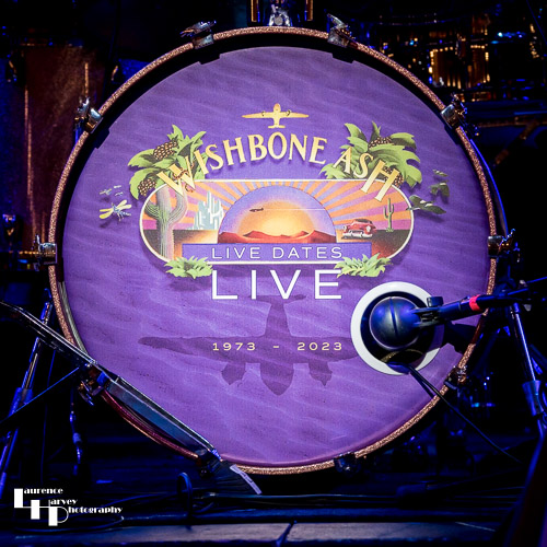 Kick drum skin