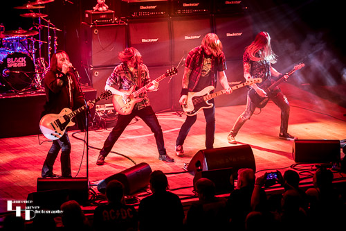 Black Spiders on stage at the Apex