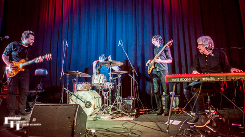 Catfish on stage at The John Peel Centre