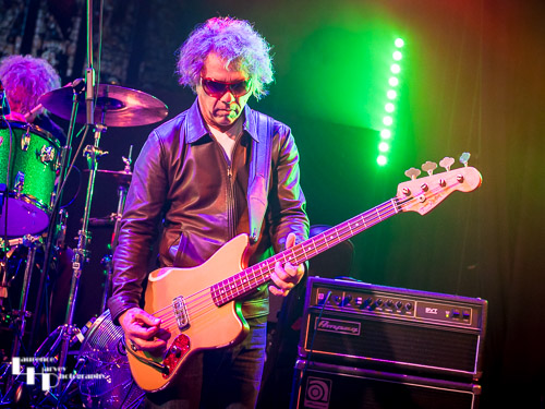 Sam Bolle on bass & backing vocals