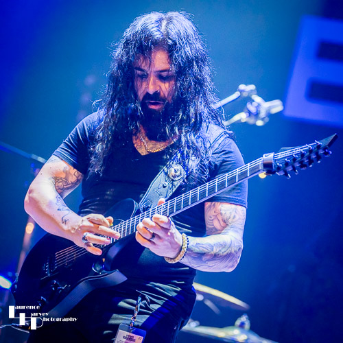 Michael James on guitar