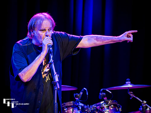 Walter Trout on vocals & guitar