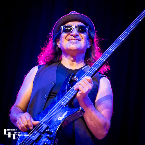 John Avila on bass