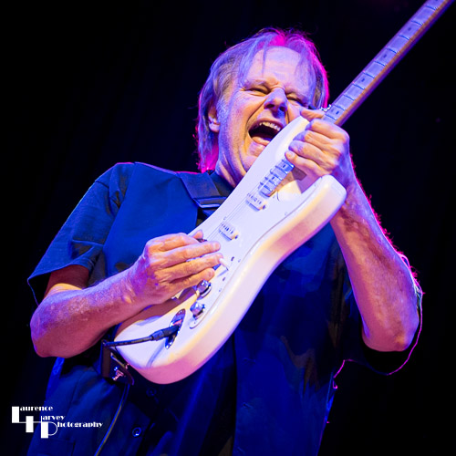 Walter Trout on vocals & guitar