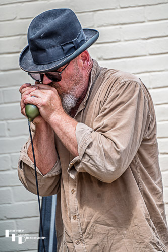 Matt Beckwith on harp