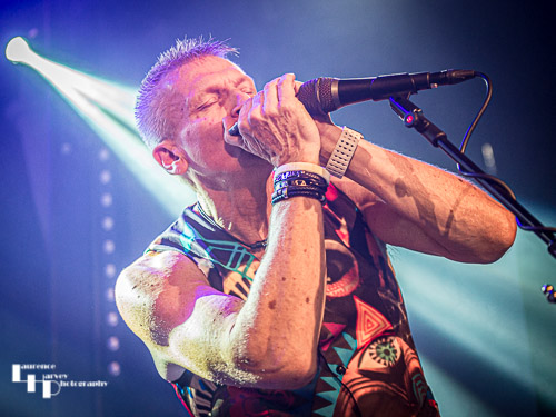 Jem Davis on harmonica