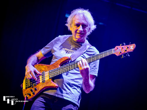 David de Marez Oyens on bass