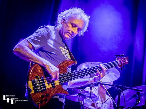 David de Marez Oyens on bass