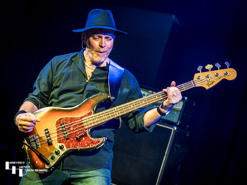 Rob Scholes on bass