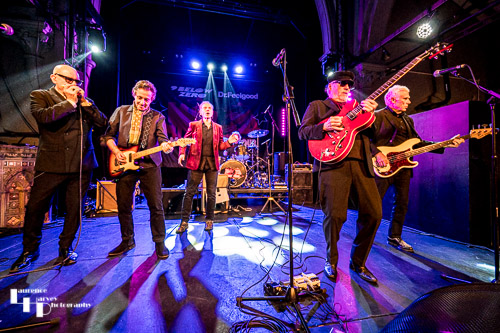 Grand finale: Dr. Feelgood & Nine Below Zero on-stage