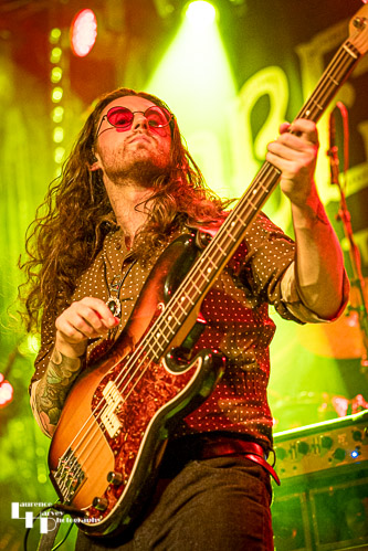 Adam Brewell on bass