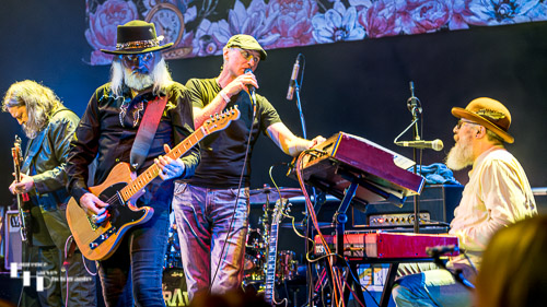 The Blue Lena on stage at Cambridge Junction 2