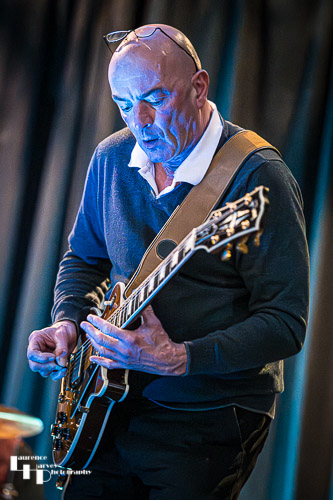 Dave Webster on guitar