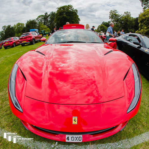 Red Ferrari (4 OXO)