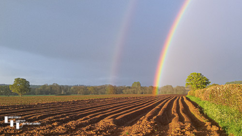 Rainbow on a spring evening in Stowlangtoft