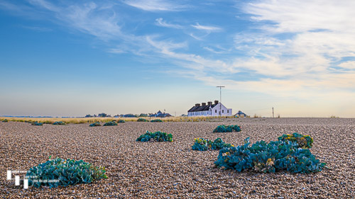 Distant view Coastguard cottages at Shingle Street