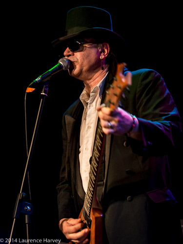 Russell 'Hitman' Alexander on guitar & vocals