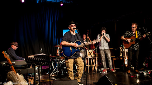 The mOOn Dogs on stage