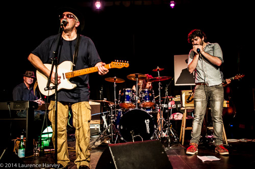 The mOOn Dogs on stage