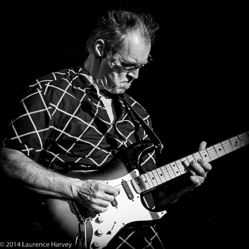 D'zal Martin on guitar