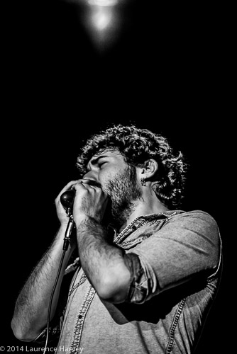 Nick White on harmonica