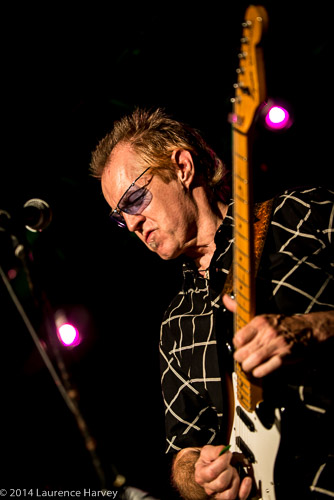 D'zal Martin on guitar