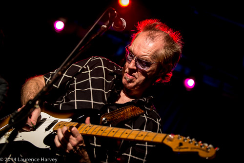 D'zal Martin on guitar