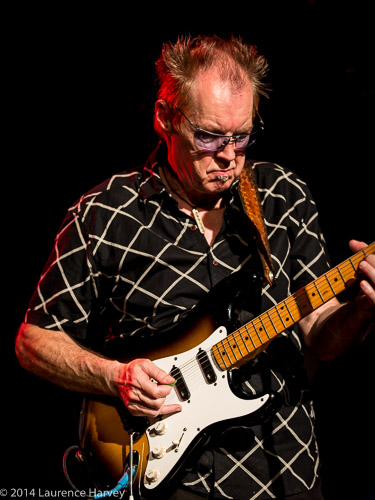 D'zal Martin on guitar