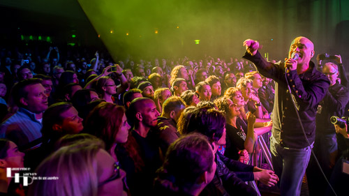 Dan Reed mixes it with the crowd