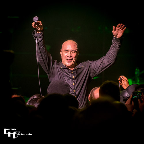 Dan Reed mixes it with the crowd