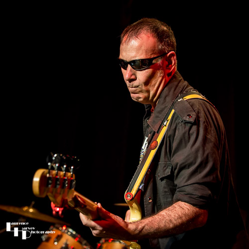 Derek White on bass