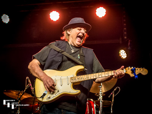 Walter Trout on vocals & guitar