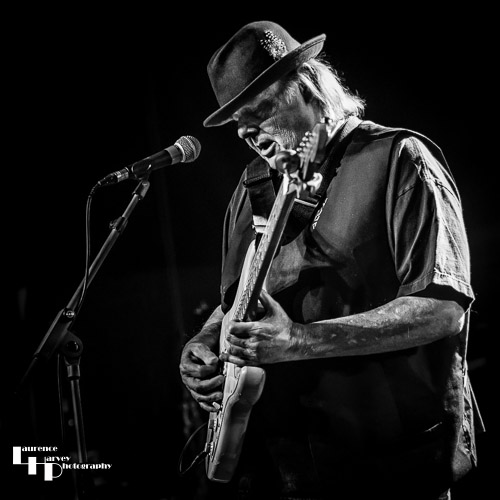 Walter Trout on vocals & guitar