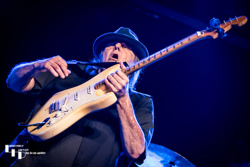 Walter Trout on vocals & guitar