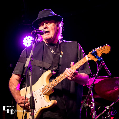 Walter Trout on vocals & guitar
