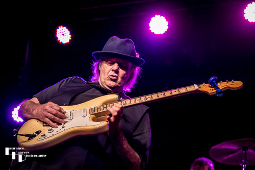 Walter Trout on vocals & guitar