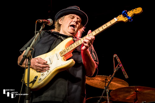 Walter Trout on vocals & guitar