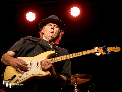 Walter Trout on vocals & guitar