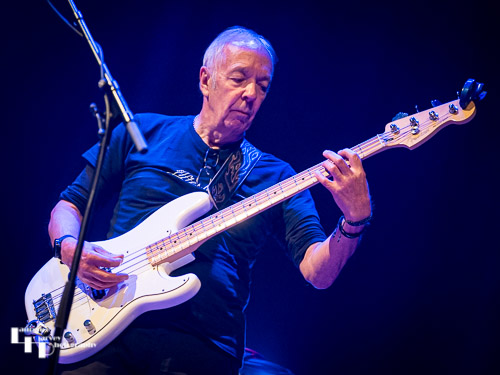 Harry Collins on bass