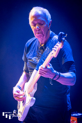 Harry Collins on bass