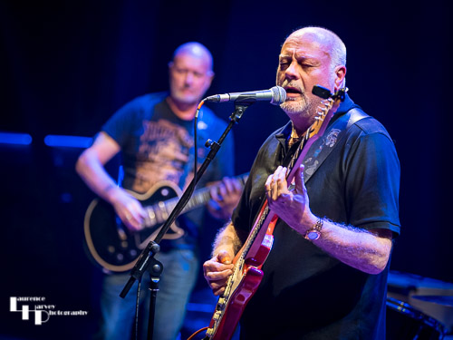 Dave Crane on vocals & guitar