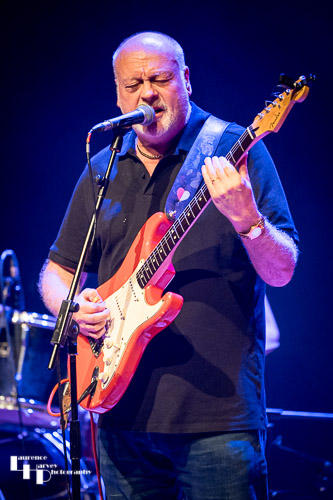 Dave Crane on vocals & guitar