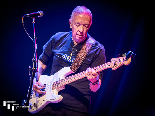 Harry Collins on bass