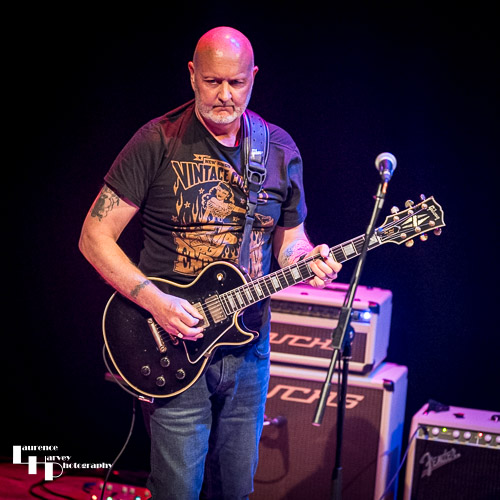 Steve Tansley on guitar