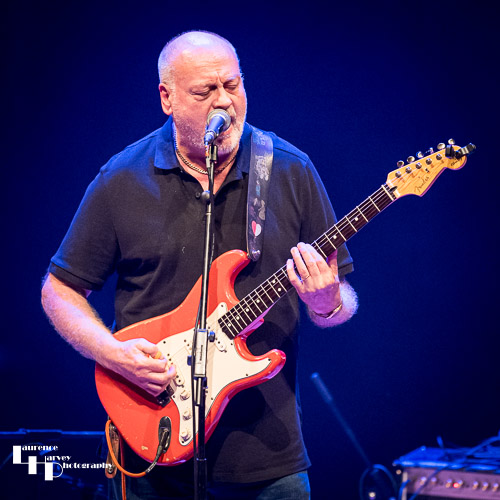 Dave Crane on vocals & guitar