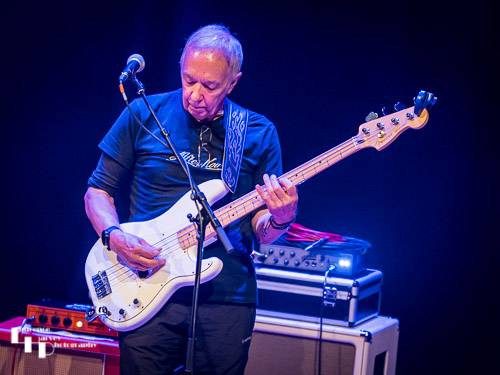 Harry Collins on bass