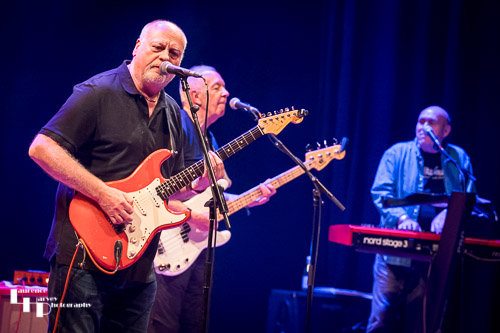 Dave Crane on vocals & guitar