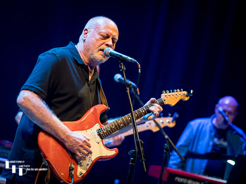 Dave Crane on vocals & guitar