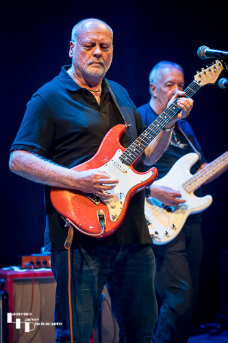 Dave Crane on vocals & guitar